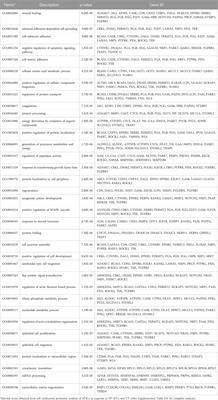 Endometrial small extracellular vesicles regulate human trophectodermal cell invasion by reprogramming the phosphoproteome landscape